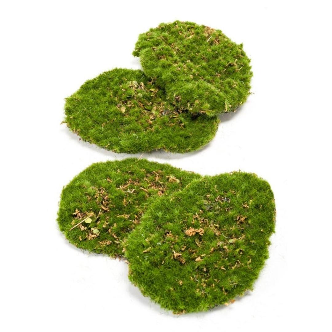 Moos 4er Set – Künstliches Moos 16x12cm – Realistische Moosplatten aus hochwertigem Kunststoff – Wartungsfrei