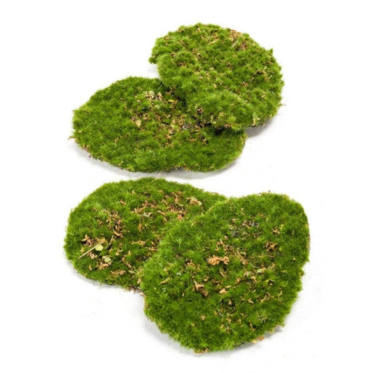 Moos 4er Set – Künstliches Moos 16x12cm – Realistische Moosplatten aus hochwertigem Kunststoff – Wartungsfrei