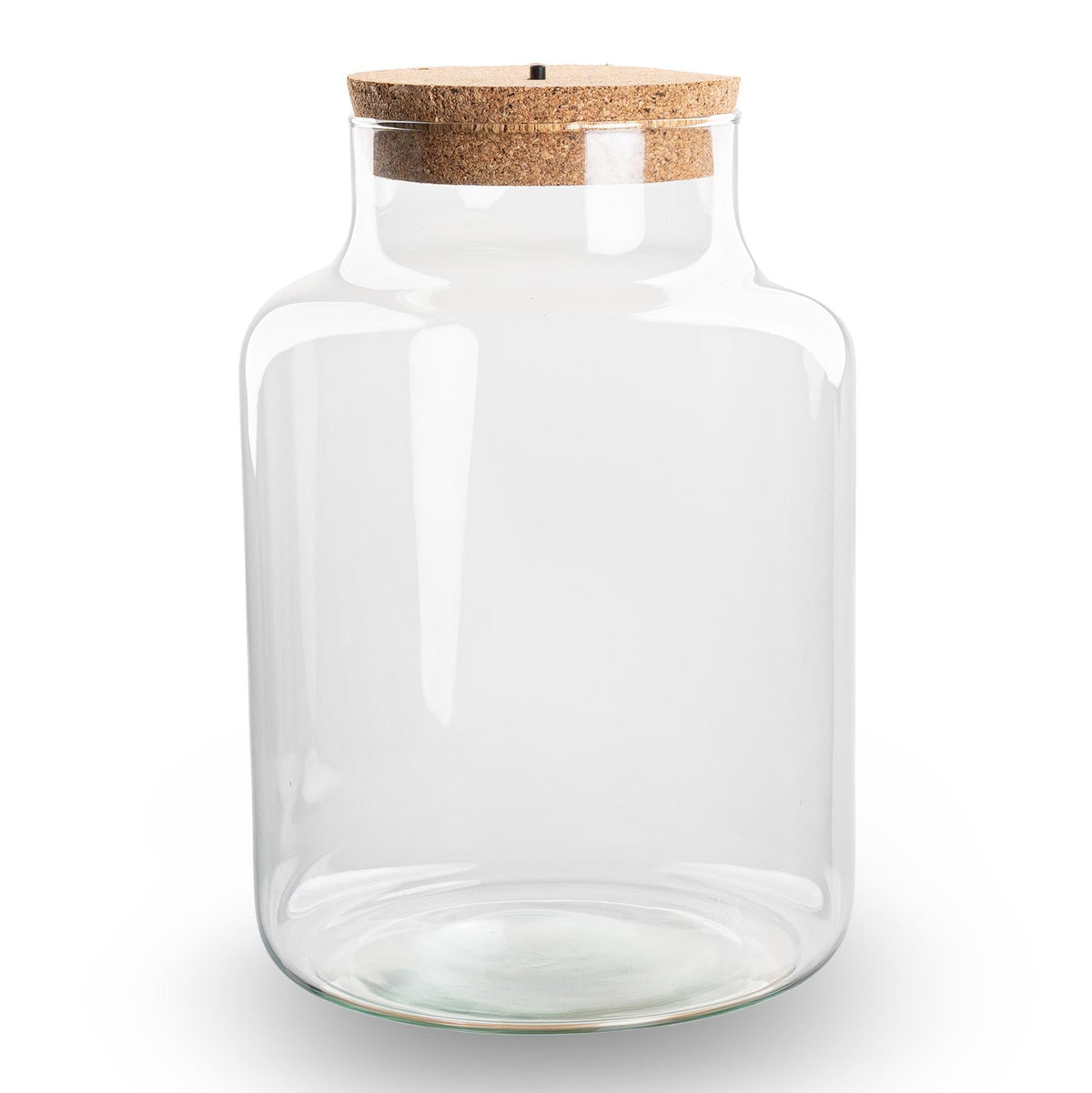Terrarium Flasche – Geschlossene Glasflasche mit Korken & LED – Beleuchtung – Höhe 24,5cm Ø17cm – Dekoratives Pflanzenterrarium aus Recyclingglas