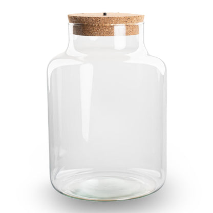 Terrarium Flasche – Geschlossene Glasflasche mit Korken & LED – Beleuchtung – Höhe 24,5cm Ø17cm – Dekoratives Pflanzenterrarium aus Recyclingglas