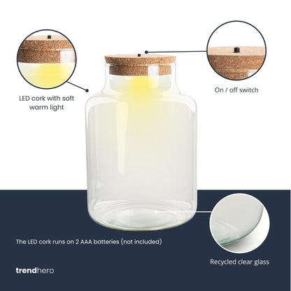 Terrarium Flasche – Geschlossene Glasflasche mit Korken & LED – Beleuchtung – Höhe 24,5cm Ø17cm – Dekoratives Pflanzenterrarium aus Recyclingglas