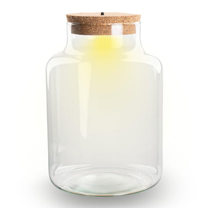 Terrarium Flasche – Geschlossene Glasflasche mit Korken & LED – Beleuchtung – Höhe 24,5cm Ø17cm – Dekoratives Pflanzenterrarium aus Recyclingglas