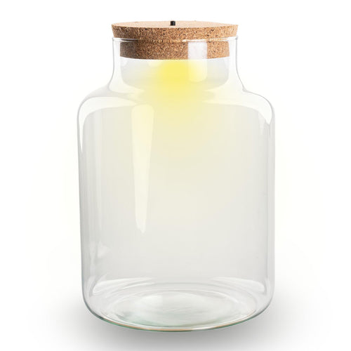Terrarium Flasche – Geschlossene Glasflasche mit Korken & LED – Beleuchtung – Höhe 24,5cm Ø17cm – Dekoratives Pflanzenterrarium aus Recyclingglas