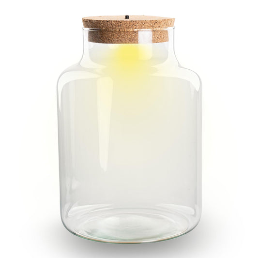 Terrarium Flasche – Geschlossene Glasflasche mit Korken & LED – Beleuchtung – Höhe 24,5cm Ø17cm – Dekoratives Pflanzenterrarium aus Recyclingglas